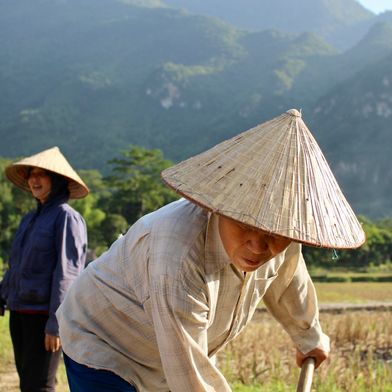 Mai Chau